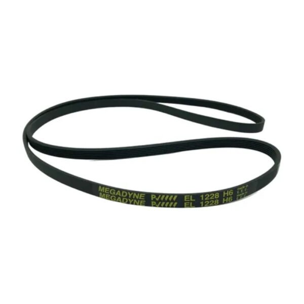 Correa Numero 6PH 1227/1228